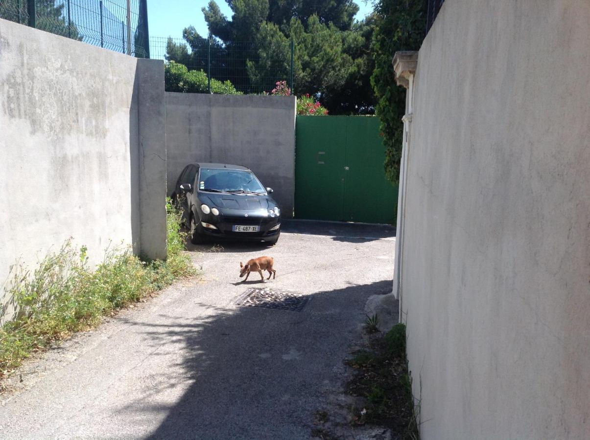 Suite Sur La Mer Marseille Corniche Εξωτερικό φωτογραφία